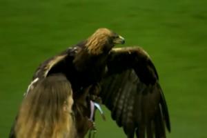 墨西哥vs韩国-2-挪威vs塞内加尔直播40_挪威vs塞内加尔直播在线观看_免费观看挪威vs塞内加尔直播
