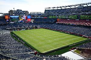 瑞典vs突尼斯-7-TA：NFL球队老板投诉政府以世界杯名义收取不当额外费用