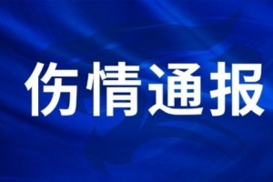 巴拉圭vs澳大利亚直播_巴拉圭vs澳大利亚直播在线观看_免费看直播