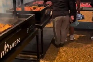 新西兰vs比利时直播rb_新西兰vs比利时直播在线观看_免费观看新西兰vs比利时直播
